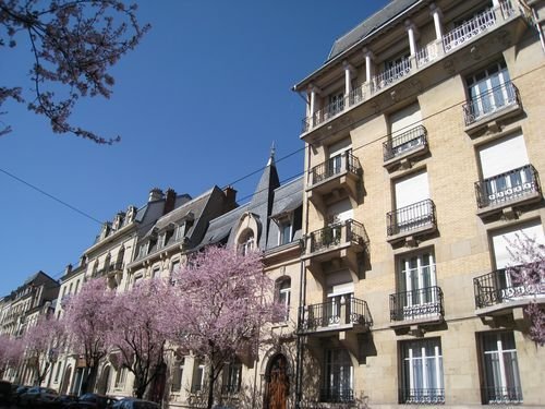 Ville de Nancy - Le printemps s'éveille