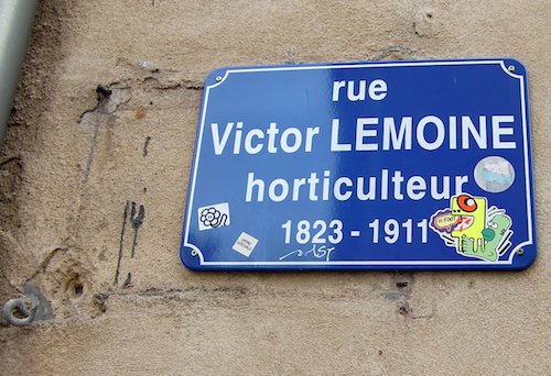 Ville de Nancy - Rue Victor Lemoine