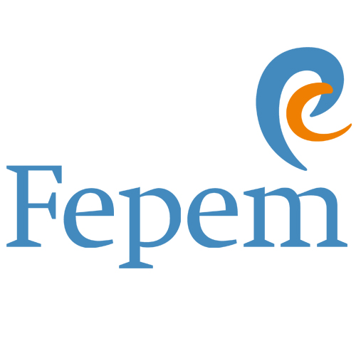Des vidéos de formation pour la FEPEM