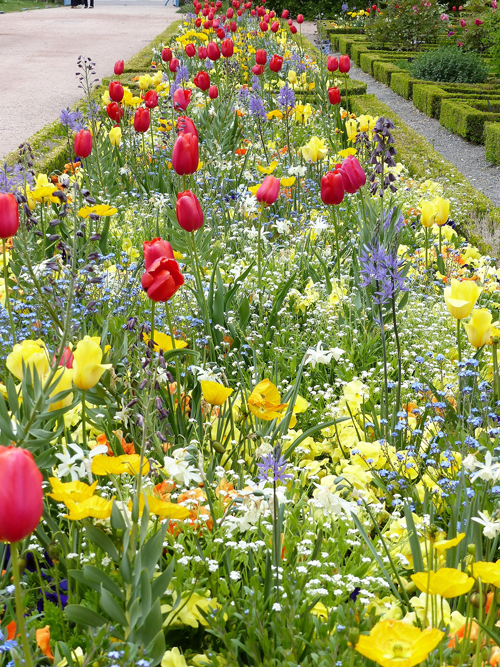 Ville de Nancy - Tulipes du Jardin Godron