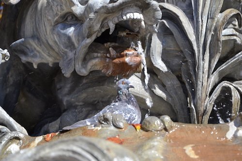 Ville de Nancy - Le pigeon et la fontaine