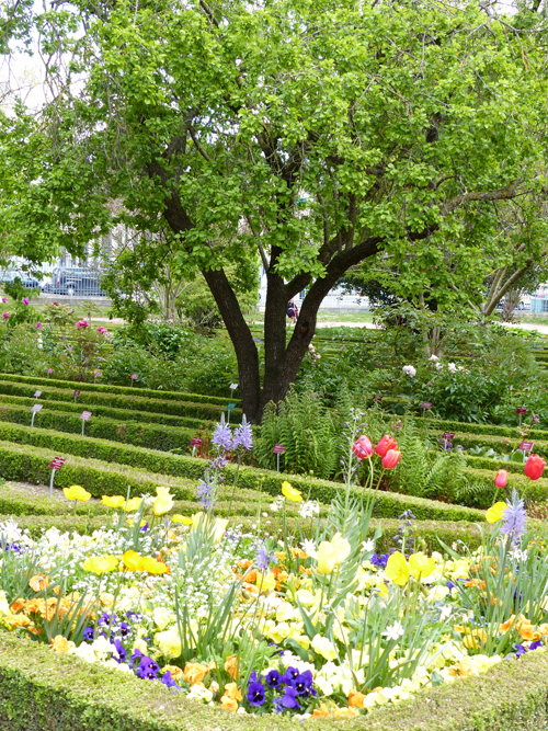 Ville de Nancy - Vue du Jardin Godron