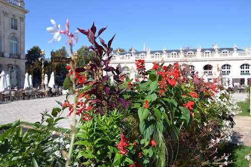 Le jardin connecté - Jardin Ephém&eagrave;re sur la Place Stanislas