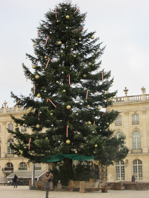 Ville de Nancy - Sapin de jour